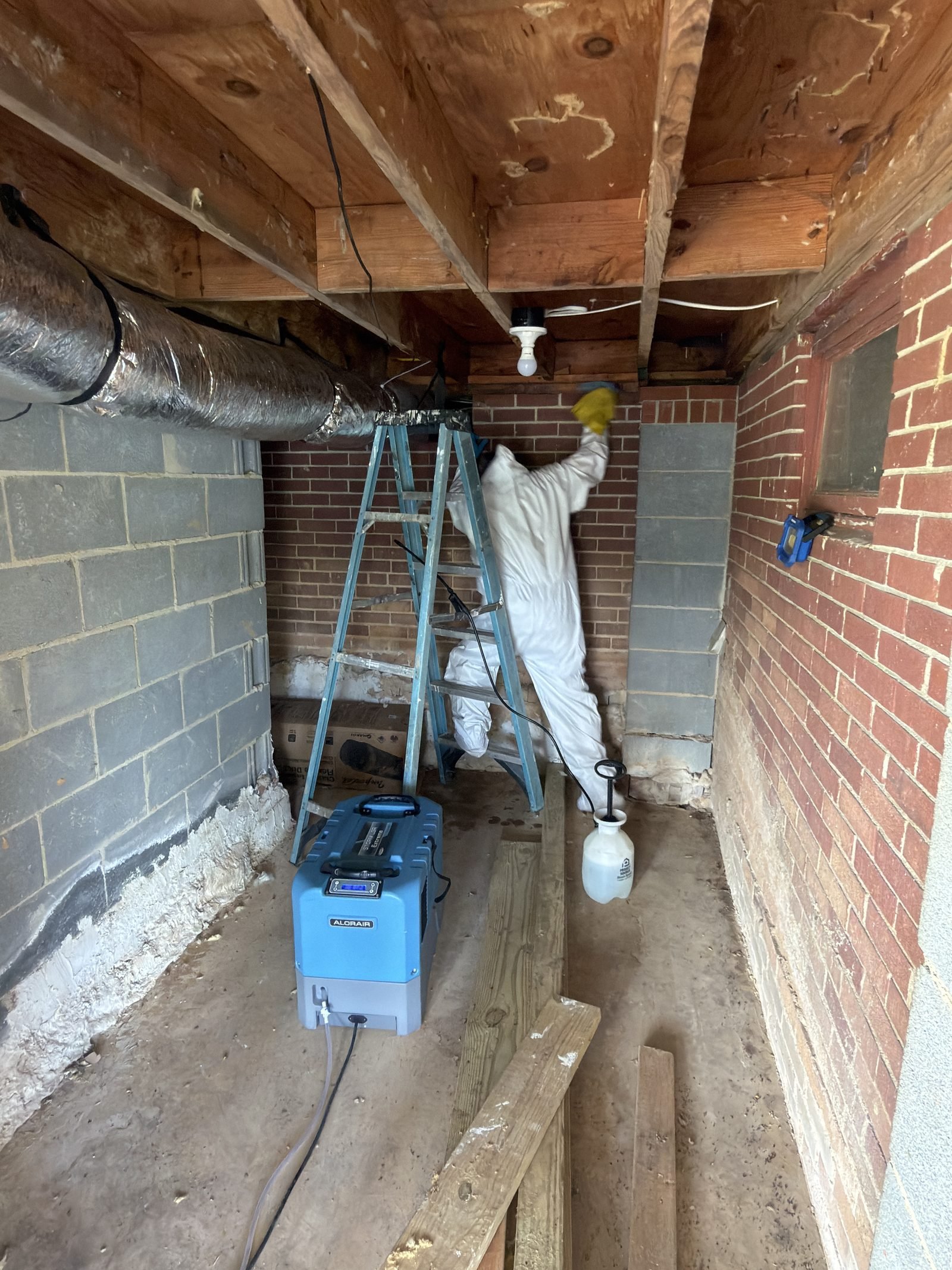 ERT technician in full PPE applying antimicrobial treatment in a Charlotte NC crawlspace with commercial dehumidification equipment running