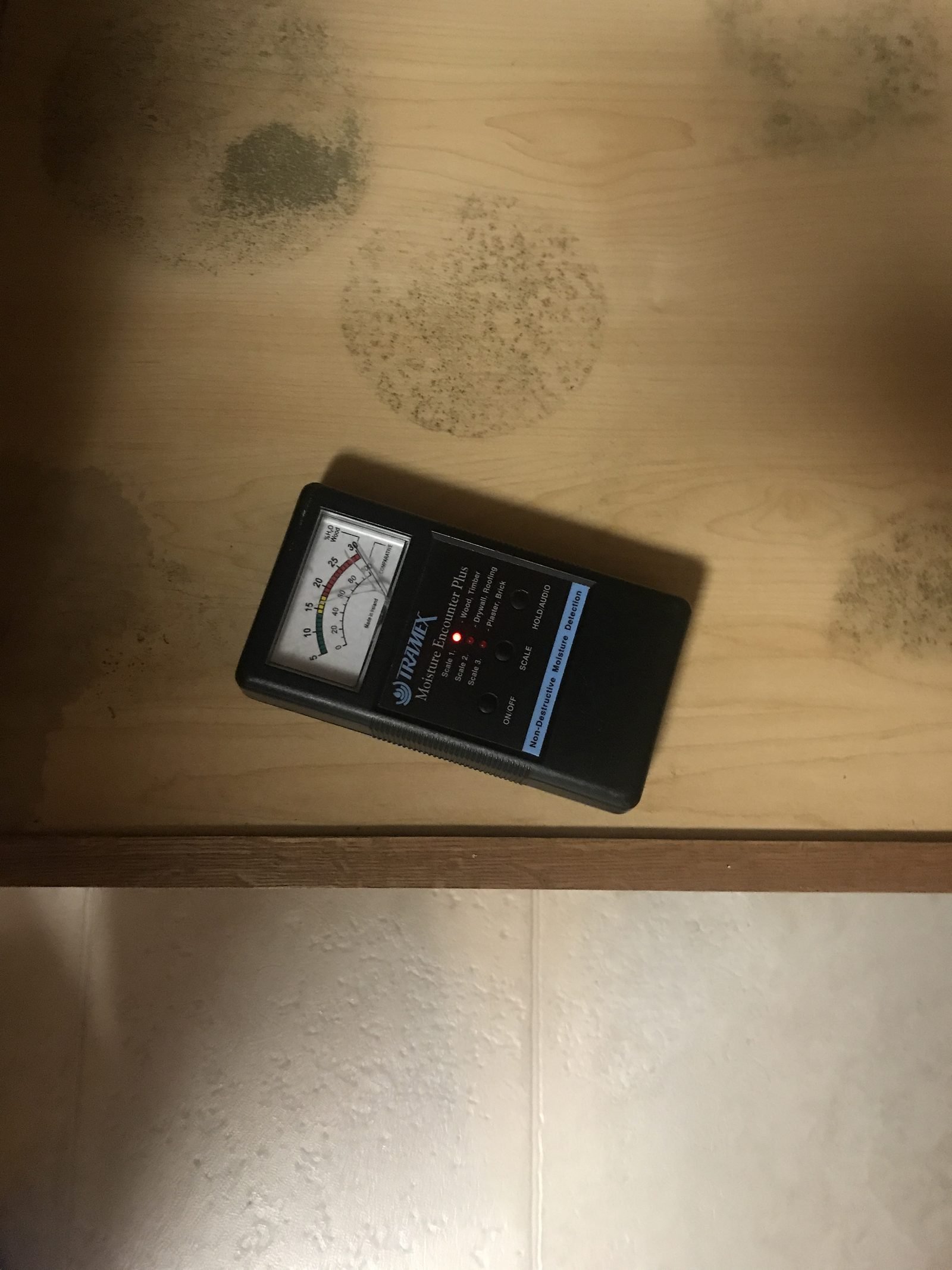 Mold and moisture detected during an inspection in a Charlotte NC home