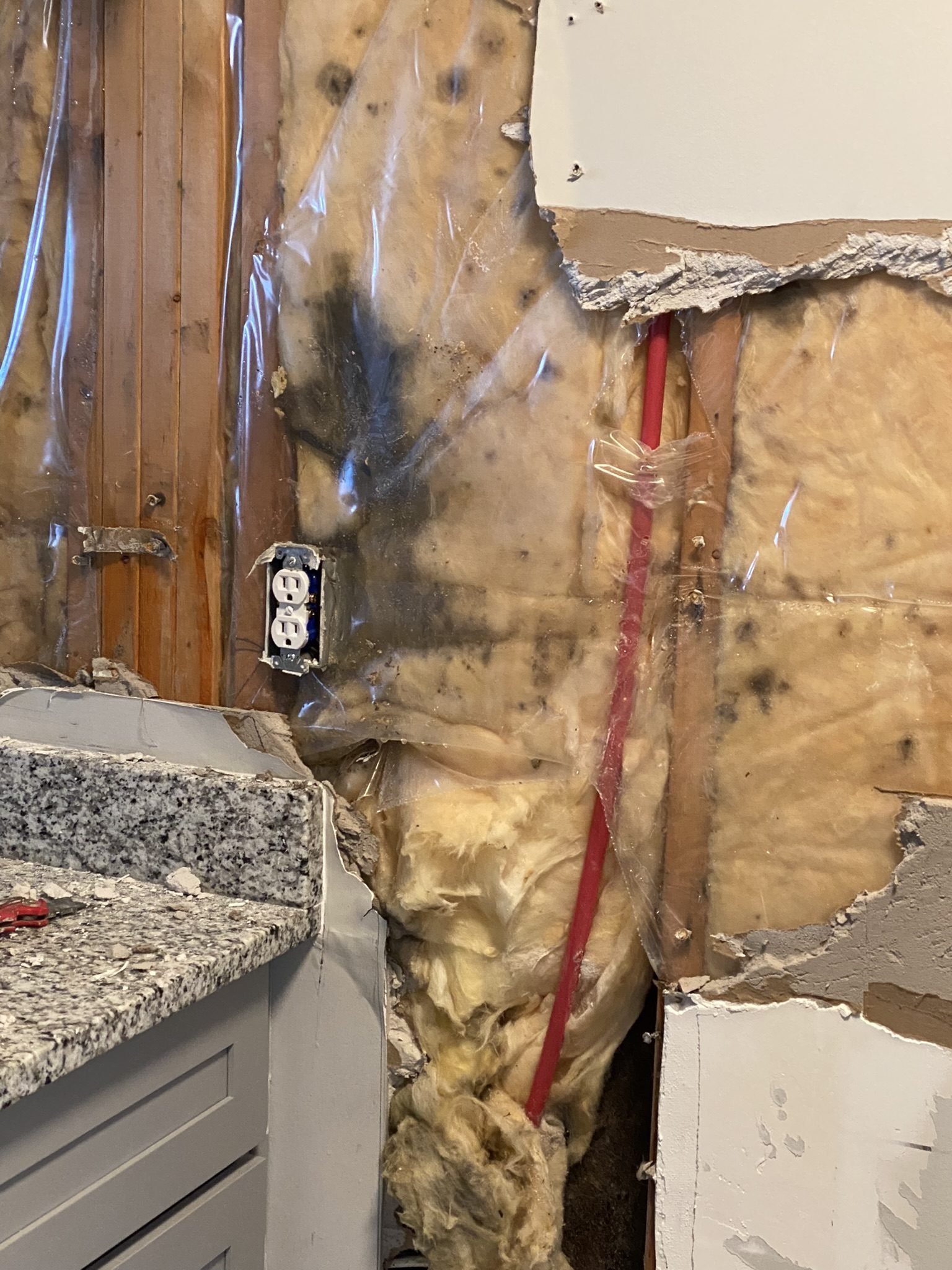 Mold found in a wall cavity behind kitchen cabinets during a Charlotte NC remediation demo