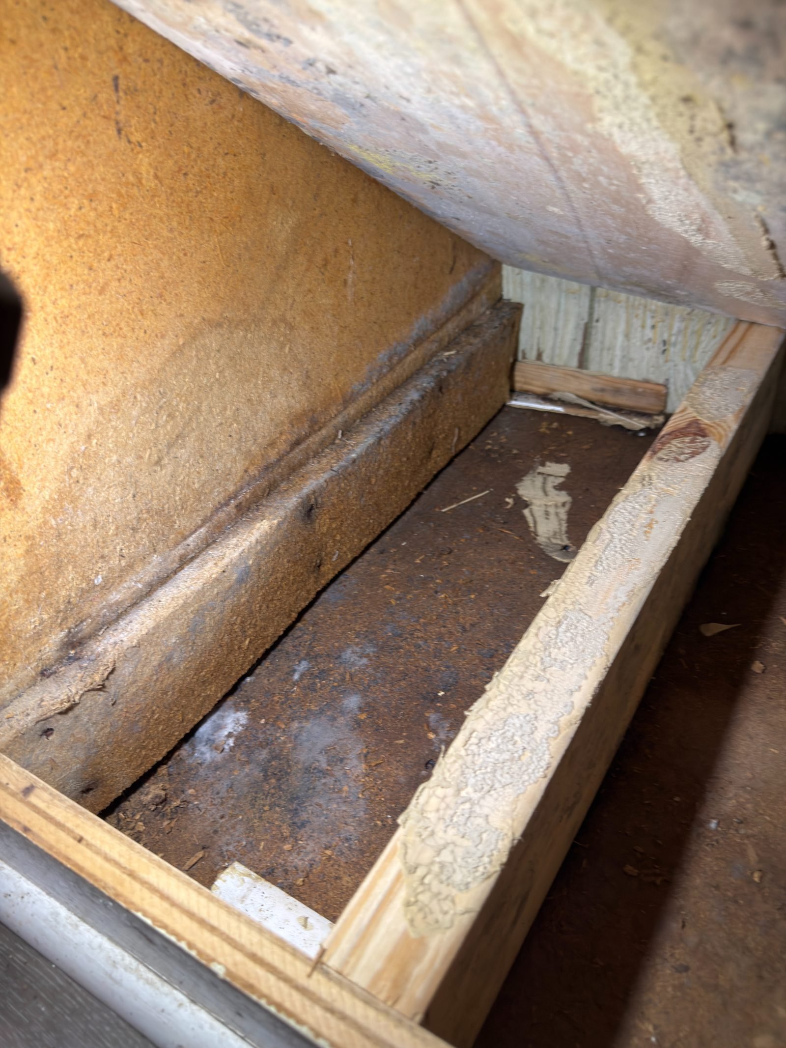 Extensive mold damage found on a subfloor during a Charlotte NC mold inspection