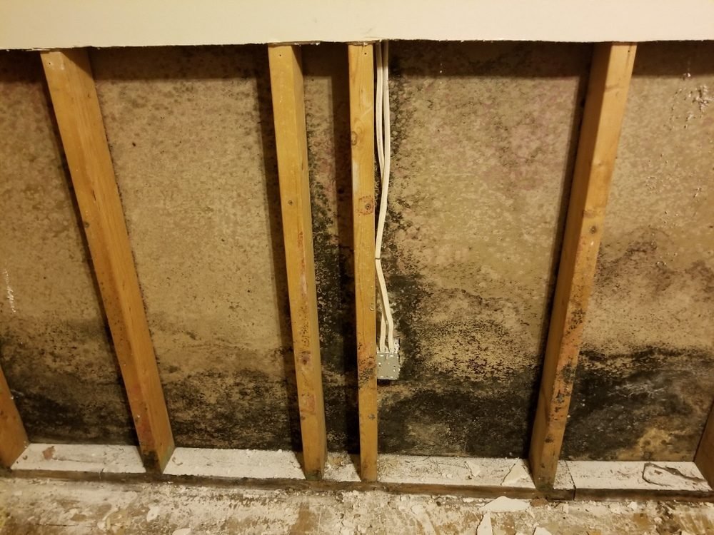 Wall cavity opened during inspection revealing mold streaks on drywall in a Charlotte NC kitchen